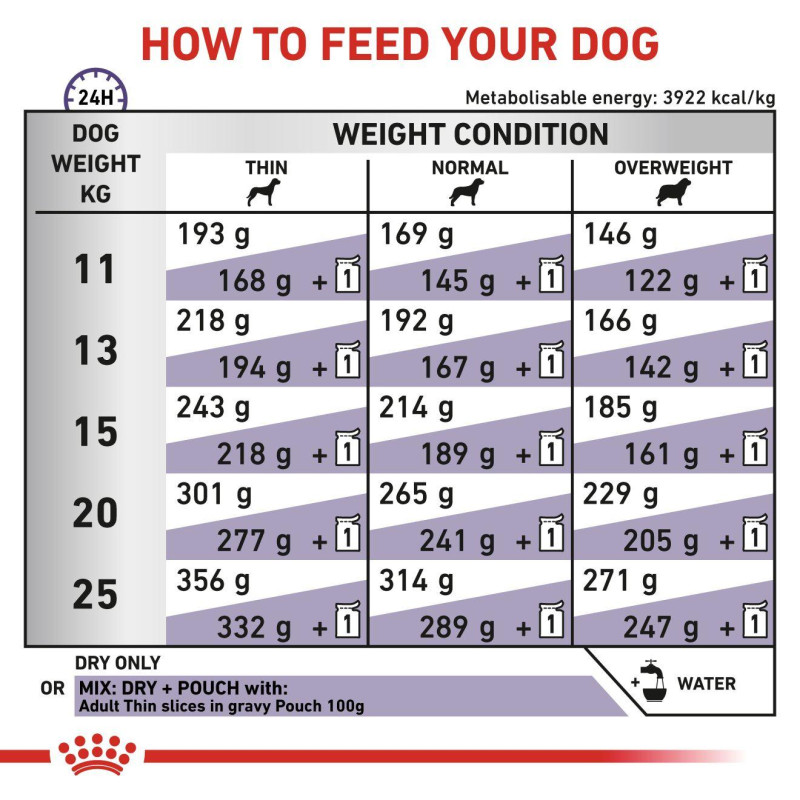 vhn-dog-adult-medium-20